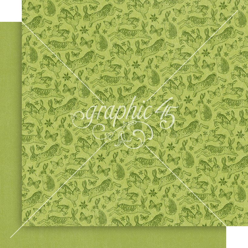 Graphic 45 Spring is in the Air 12×12 Patterns & Solids Pack – SKU: 4502975