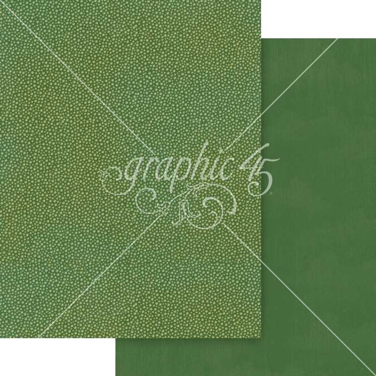Graphic 45 Wonder of Oz 8.5 x 11 Patterns & Solids Pack – SKU 4503122
