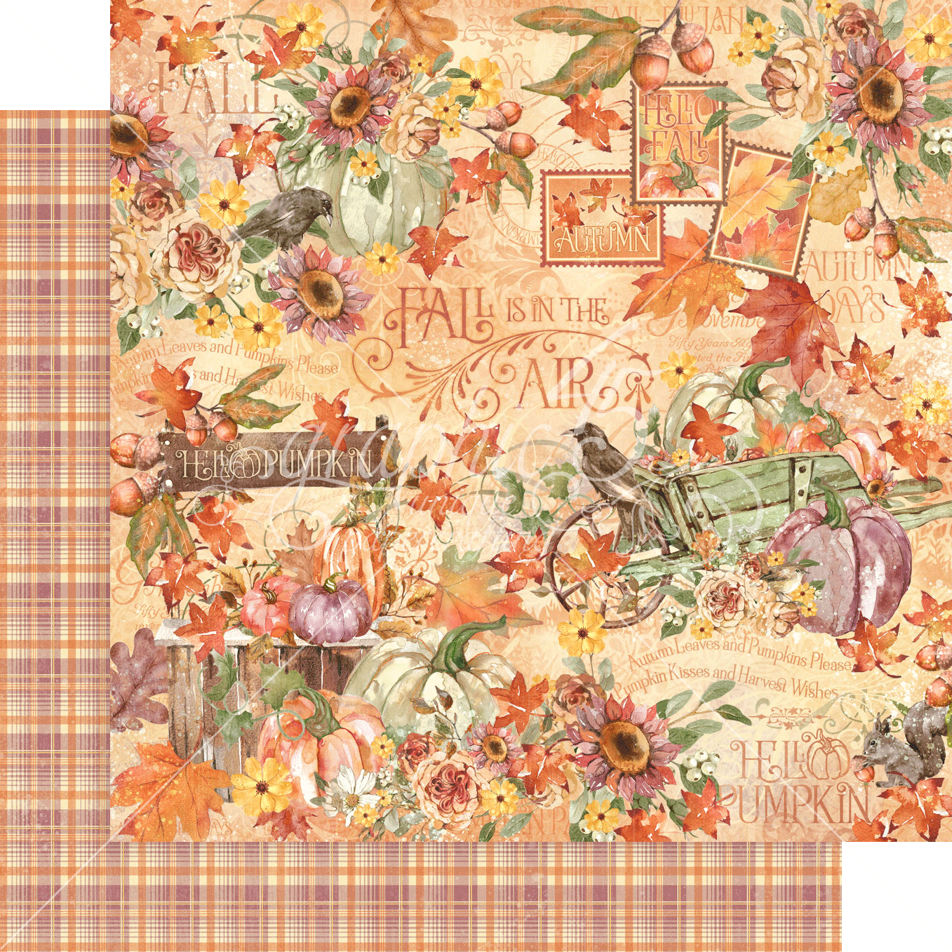 Graphic 45 Hello Pumpkin 8x8 Collection Pack – SKU 4502716 image 7