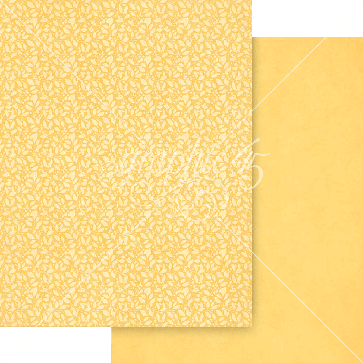 Graphic 45 Scenic Route 8.5 x 11 Patterns & Solids Pack – SKU 4503196